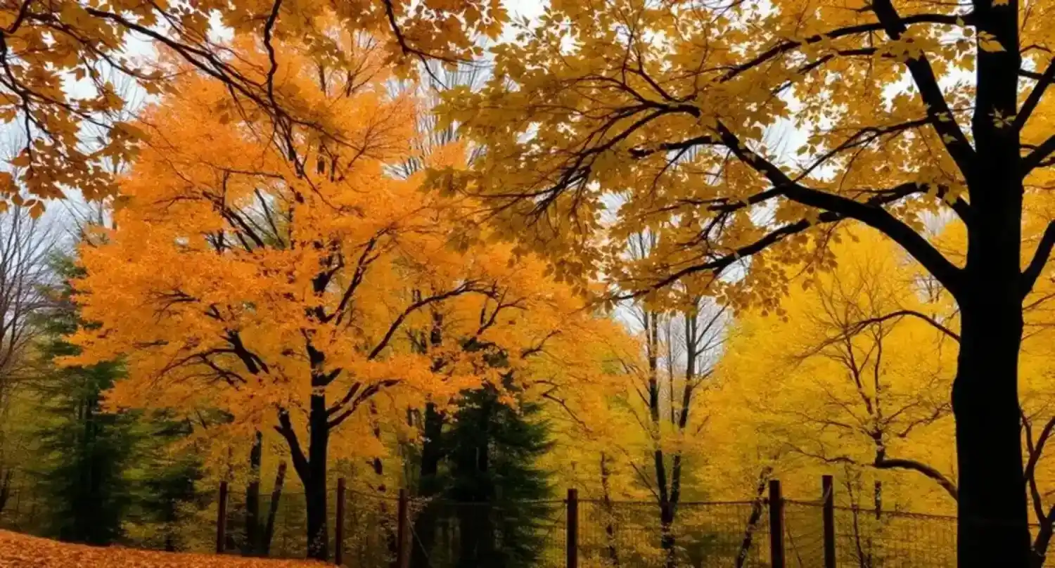 jokes about autumn