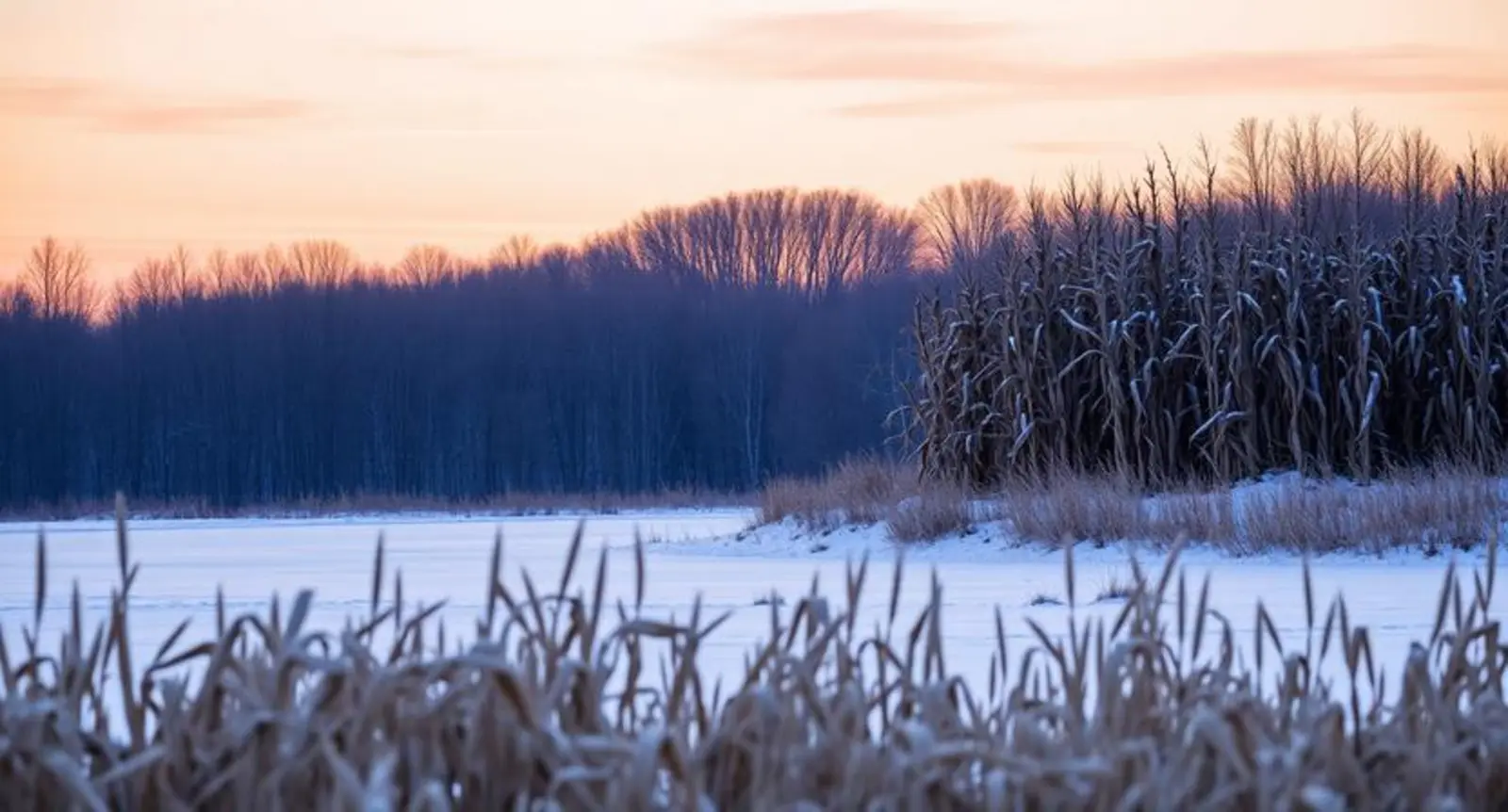 corny winter jokes